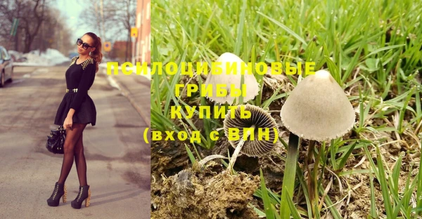 дмт Алексин
