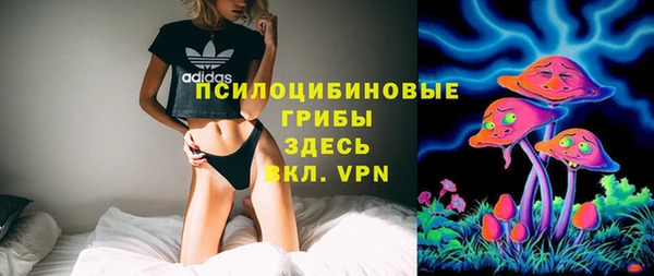дмт Алексин