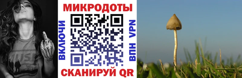Галлюциногенные грибы ЛСД где купить наркотик Череповец